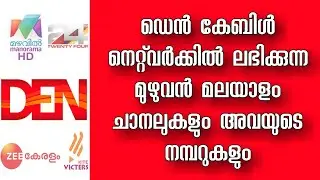 Den Digital Malayalam Channels Full List 2020 | Den Digital Kerala