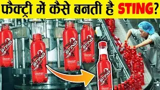 फैक्ट्री में 'STING' energy drink कैसे बनती है?How is 'STING' energy drink made in factory?