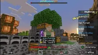 CubeCraft Skyblock 40 Silk Touch + fortune pickaxe for the win