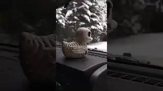 Skeleton Duck Goes For Ride in Snow #snow #duck