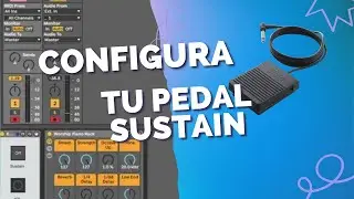 Usar y Configurar Pedal Sustain en Ableton