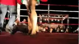 110% FIGHTS-Thai Boxe Association CALIFORNIA LOVE Queens Cup HIGHLIGHTS 8.11.12 v.3.mov