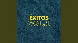 Vida Vaga