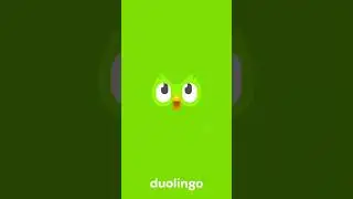 Super Duolingo - Opening Animation
