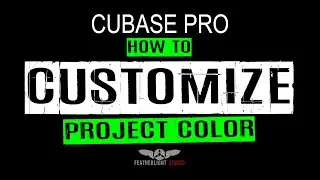 LEARN CUBASE - 17. CUSTOMIZE PROJECT COLORS
