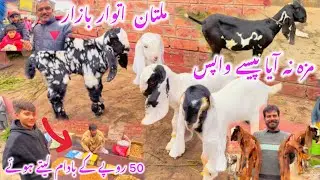 Multan Itwar Bazar | Bakriyon ki Mandi | Thand ka Mausam | Full Market Update
