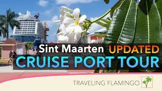 🏝🛳 Чем заняться на Сен-Мартене! — ​​Круизный тур по порту Филипсбурга