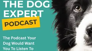 Season 4, Ep 2 | IHA - Innate Health Assessment Tool |The Dog Expert Podcast
