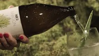 Wild Baboon Bio Aloe Vera Saft