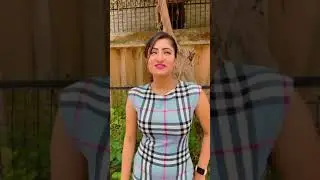 Lipsa Mishra | Odia Actress | New Trending Instagram reels video | Instagram reels
