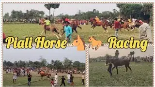 পিয়ালীতে সেই আদি পূর্ব থেকে চলে আসছে ঘোড়া দৌড় প্রতিযোগিতামূলক খেলা গ্রামীণ অঞ্চলে||Horse 🐎 Racing