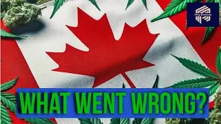 Why Has Legal Weed Not Worked in Canada? And What Can America Learn From It?