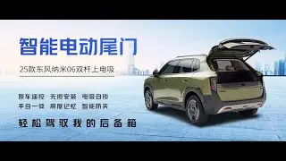 2025 Dongfeng Vigo power tailgate