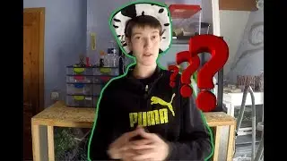 Vos questions (faq 1500), bourse aux reptiles et projets de la chaine