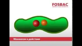 FOSBAC World Class Anitibiotic (Russian)