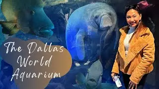 The Dallas World Aquarium | Cali Saigon Mall | Jollibee Dallas | Dallas, Texas | USA
