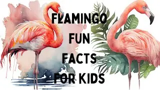 flamingos facts #flamingo fun facts for kids #basic flamingo facts #flamingo #flamingo good facts