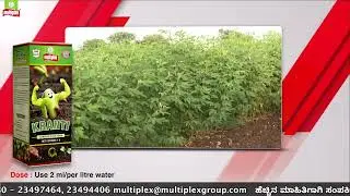 ತೊಗರಿ ಬೆಳೆಗೆ ಮಲ್ಟಿಪ್ಲೆಕ್ಸ್ ಉತ್ಪನ್ನಗಳು