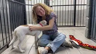 Abandoned Puppy Found in a Trash Can Now Looking for a Loving Home