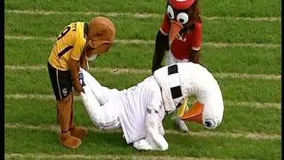 Chepstow Racecourse Mascot Race  -October 11th 2015