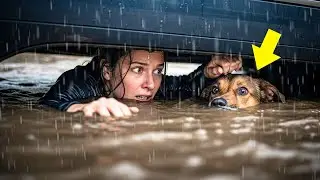 She rescued a dying dog in the flood No One Expected What Happened Next