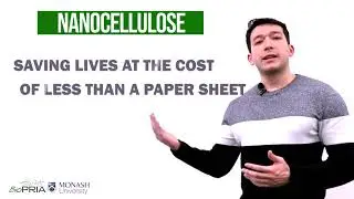 Engineered Nanocellulose Hydrogel for Organoids Culture