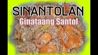 The Best Sinantolan Recipe | Ginataang Santol | How to cook Sinatol | Ginataan Dish