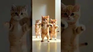Baby Cats dance by Beautiful Cats dance in studio #ai #animaldance #catdance #catvideos