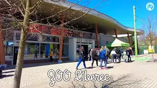 Zoo Liberec 🐅 Nejstar&scaron;&iacute; zoologick&aacute; zahrada v Česku | Czech Republic 4K / UHD