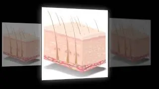 American CryoStem - Adipose Derived Stem Cell Products
