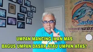 Bongkar Rahasia Mancing Ikan Mas Juara / Umpan di Dasar / Setengah Air / Ngambang?