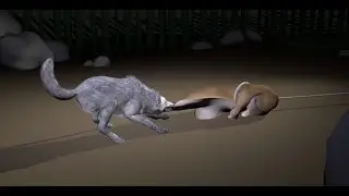 Wolf 3D Animation Practice , Rig by Truong Cg Artist