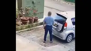 car 🚙 driver stealing flower pots from other house 🏡