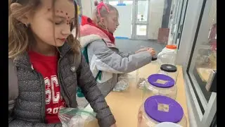 Silver Spring Intermediate Penny Wars 2025