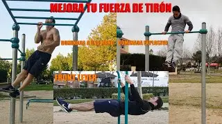 ¿Quieres progresar en Front Lever? Prueba esta Rutina de Fuerza de Tirón - The Infinity Workout