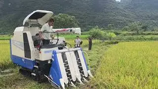 Mini combine harvester I Paddy harvester machine I Dhan katne ki machine