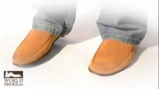 Купить итальянские Мокасины Adolfo Carli 6058