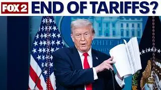 Trump's Tariffs: High Court ruling is not end of president's policy