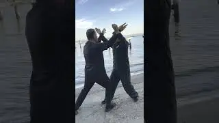 Masters Ren Guangyi and Chen Ziqiang | Push Hands Tui Shou 推手 | Chen Taijiquan 陳氏太极拳 | Chi Force #太极
