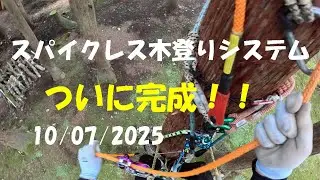 スパイクレス木登りシステムついに完成！：大源太農園20251007