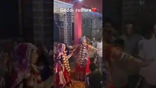 Gaddi culture #folksong #himachalitradition #gaddiculture #पहाड़ीlife #gaddiyalinati