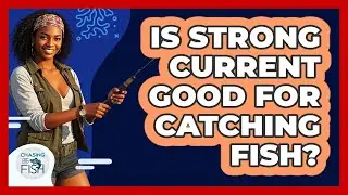 Is Strong Current Good For Catching Fish?