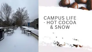 Where Snow Falls and Cocoa Warms