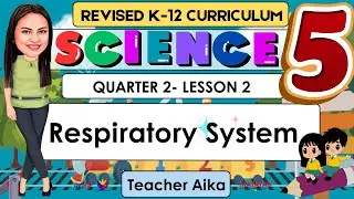 SCIENCE 5 Quarter 2 Lesson 2 | Respiratory System | Revised K-12