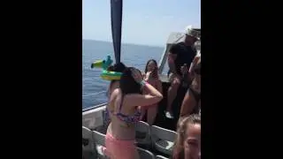 Ibiza Boat Party 2016 HD