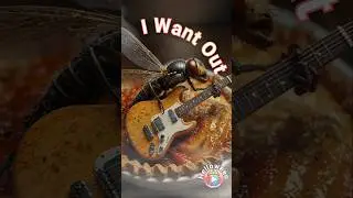 Flies & Ants Crash Thanksgiving to Rock Helloween's 