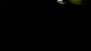 لعب قيس خولان