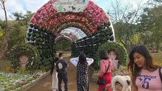 December Garden 23.12.2025