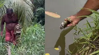 വലയും കോരുവലയും വെച്ച് മീൻപിടുത്തം cast net fishing #castnetfishing  #fishing #fish #fishcatching