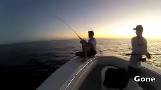 Team Offshore Asset Mutton Snapper Fishing